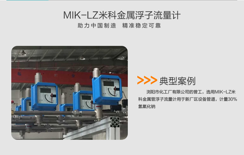 米科MIK-LZ金属管浮子/转子流量计案例一